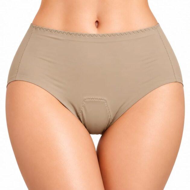 Women’s Multicolor High Waist Full Coverage Panty/Brief Panty